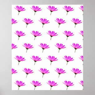 Rosa Gänseblümchen Poster
