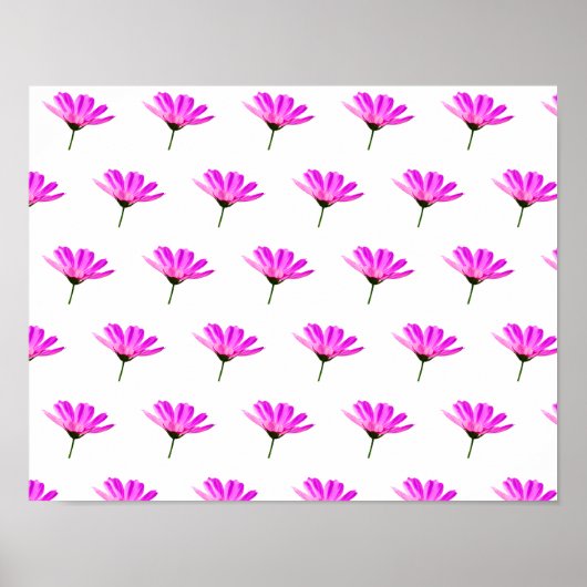 Rosa Gänseblümchen Poster (Vorne)