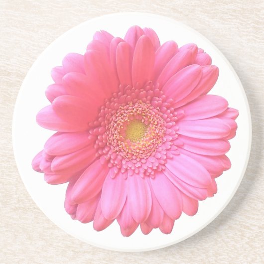 Rosa Gänseblümchen Sandstein Untersetzer (Vorne)