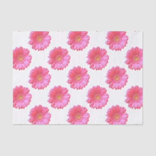 Rosa Gänseblümchen Seidenpapier (Vorderseite)