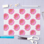 Rosa Gänseblümchen Seidenpapier (Handwerk)