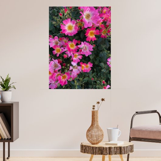 Rosa Garden Blume Foto Wohngestaltung Poster (Wohnzimmer 3)