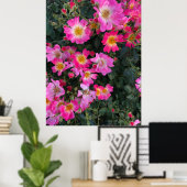 Rosa Garden Blume Foto Wohngestaltung Poster (Heimbüro)