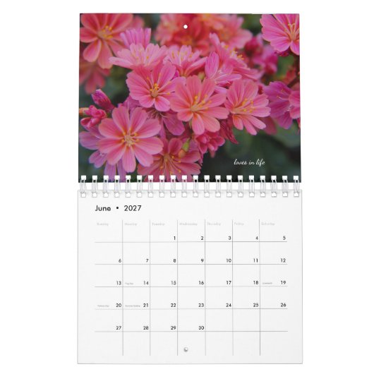 Rosa Garden Blume Kalender (Jun 2027)