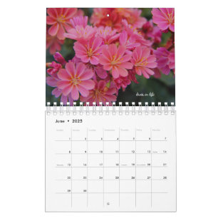 Rosa Garden Blume Kalender