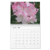 Rosa Garden Blume Kalender (Jan 2027)