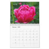 Rosa Garden Blume Kalender (Feb 2027)