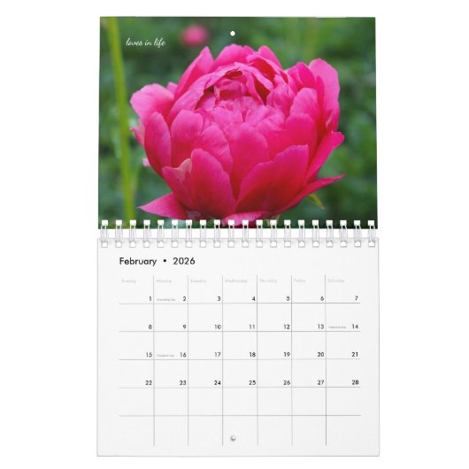 Rosa Garden Blume Kalender (Feb 2026)