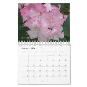 Rosa Garden Blume Kalender (Jan 2026)