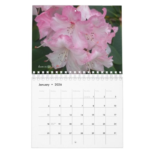 Rosa Garden Blume Kalender (Jan 2026)