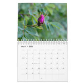Rosa Garden Blume Kalender (Mär 2026)