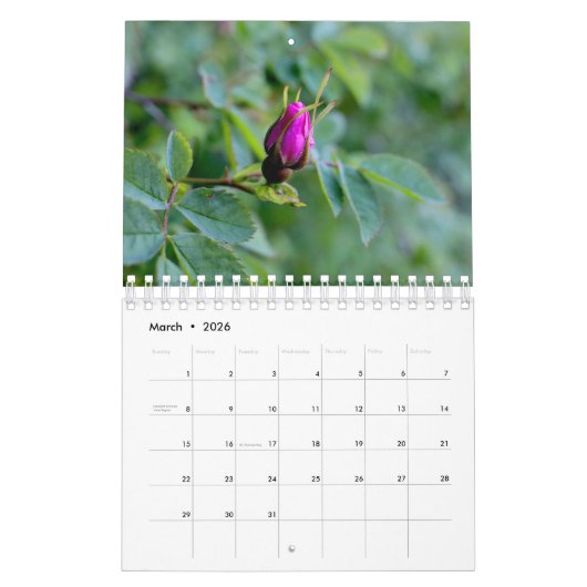 Rosa Garden Blume Kalender (Mär 2026)