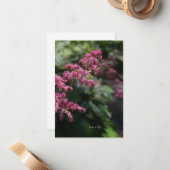 Rosa-Garten-Blume Mitteilungskarte (Vorderseite/Rückseite Beispiel)