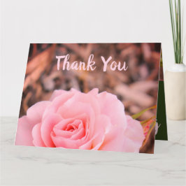 Rosa-Garten-Rose Karte