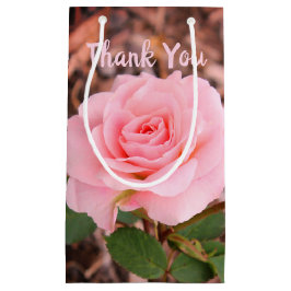 Rosa-Garten-Rose Kleine Geschenktüte