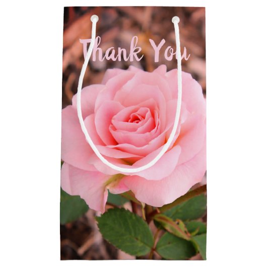 Rosa-Garten-Rose Kleine Geschenktüte (Vorderseite)