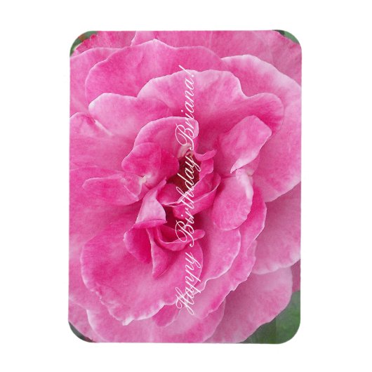 Rosa-Garten-Rose Magnet (Vertikal)