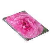 Rosa-Garten-Rose Notizblock (Rechte Seite)
