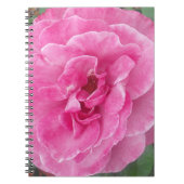Rosa-Garten-Rose Notizblock (Vorderseite)