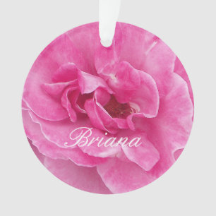 Rosa-Garten-Rose Ornament