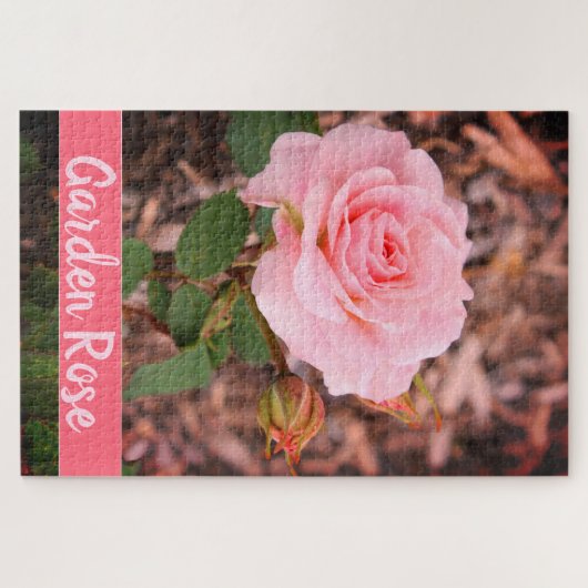 Rosa-Garten-Rose Puzzle (Horizontal)