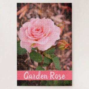 Rosa-Garten-Rose Puzzle