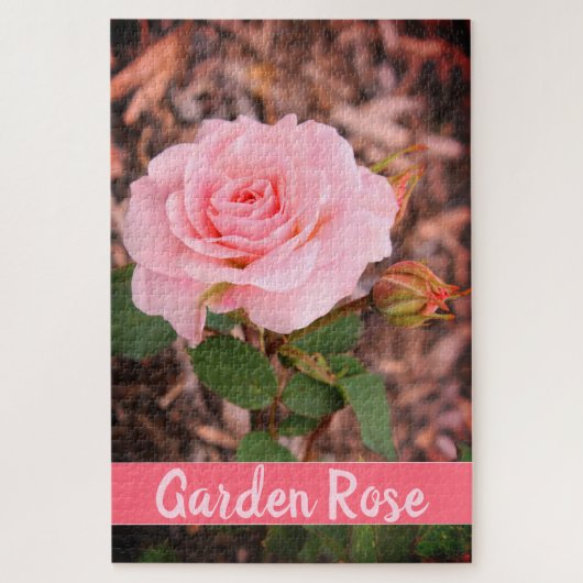 Rosa-Garten-Rose Puzzle (Vertikal)