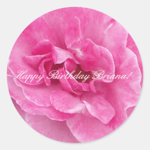 Rosa Garten-Rose Runder Aufkleber