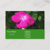 Rosa Gartenanlage Blume Visitenkarte (Rückseite)