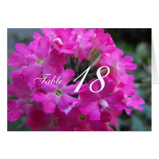 Rosa Gartengarten Blume Abendessen Tischnummer Kar (Vorderseite (Horizontal))