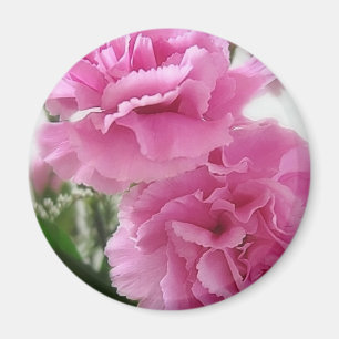 Rosa Gartennelken 1 Magnet