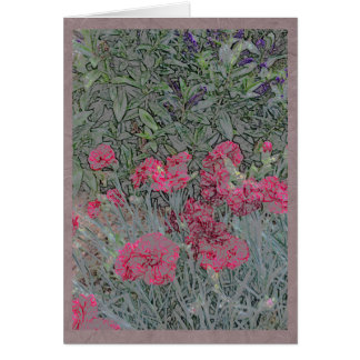 Rosa Gartennelken in einem Sommergarten