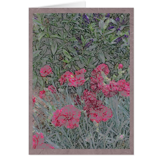 Rosa Gartennelken in einem Sommergarten (Vorne)