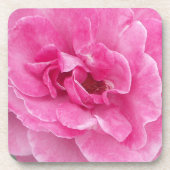 Rosa Gartenrose Untersetzer (Vorderseite)
