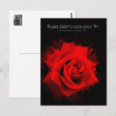 Rosa Gartenzauber '84:Postcard Postkarte (Vorne/Hinten)