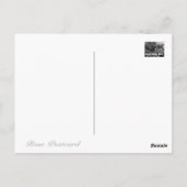 Rosa Gartenzauber '84:Postcard Postkarte (Rückseite)
