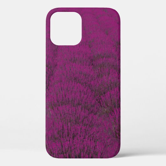 Rosa geblättertes Blume Case-Mate iPhone Hülle (Rückseite)