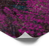 Rosa geblättertes Blume Poster (Ecke)