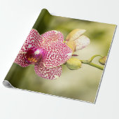 Rosa gefleckte Orchidee Geschenkpapier (Ungerollt)