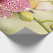 Rosa gefleckte Orchidee Geschenkpapier (Ecke)