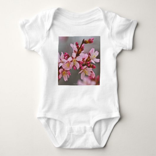 Rosa gegen eine Graue Himmelsblüte Baby Strampler (Vorderseite)