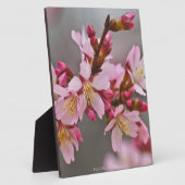 Rosa gegen eine Graue Himmelsblüte Fotoplatte (Seite)