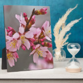 Rosa gegen eine Graue Himmelsblüte Fotoplatte (Seite)