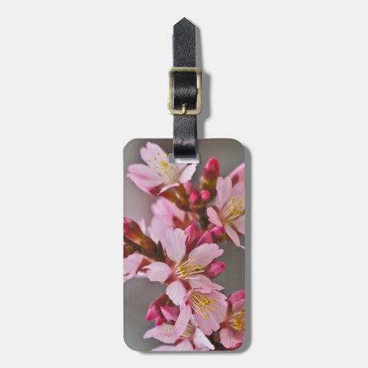 Rosa gegen eine Graue Himmelsblüte Gepäckanhänger (Vorderseite vertikal)