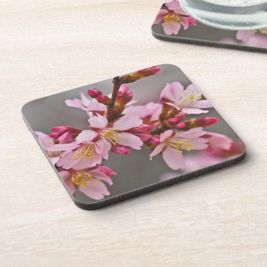 Rosa gegen eine Graue Himmelsblüte Getränkeuntersetzer (Linke Seite)