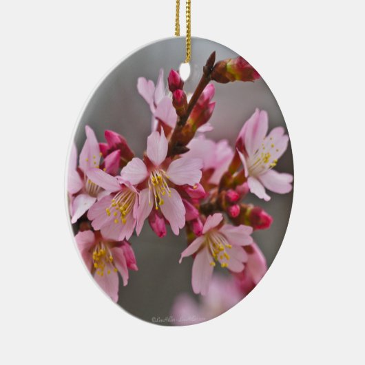 Rosa gegen eine Graue Himmelsblüte Keramikornament (Rechts)