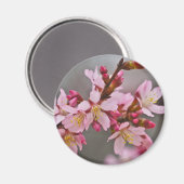 Rosa gegen eine Graue Himmelsblüte Magnet (Vorderseite/Rückseite)