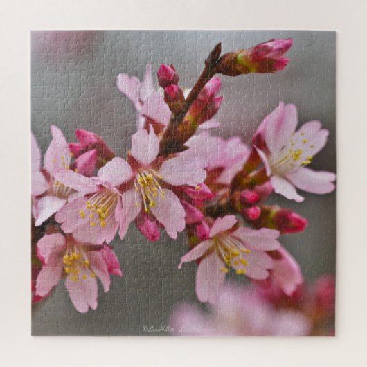 Rosa gegen eine Graue Himmelsblüte Puzzle (Vertikal)