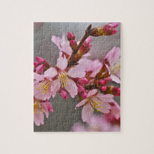 Rosa gegen eine Graue Himmelsblüte Puzzle (Vertikal)