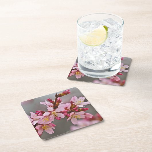 Rosa gegen eine Graue Himmelsblüte Rechteckiger Pappuntersetzer (Vor Ort)